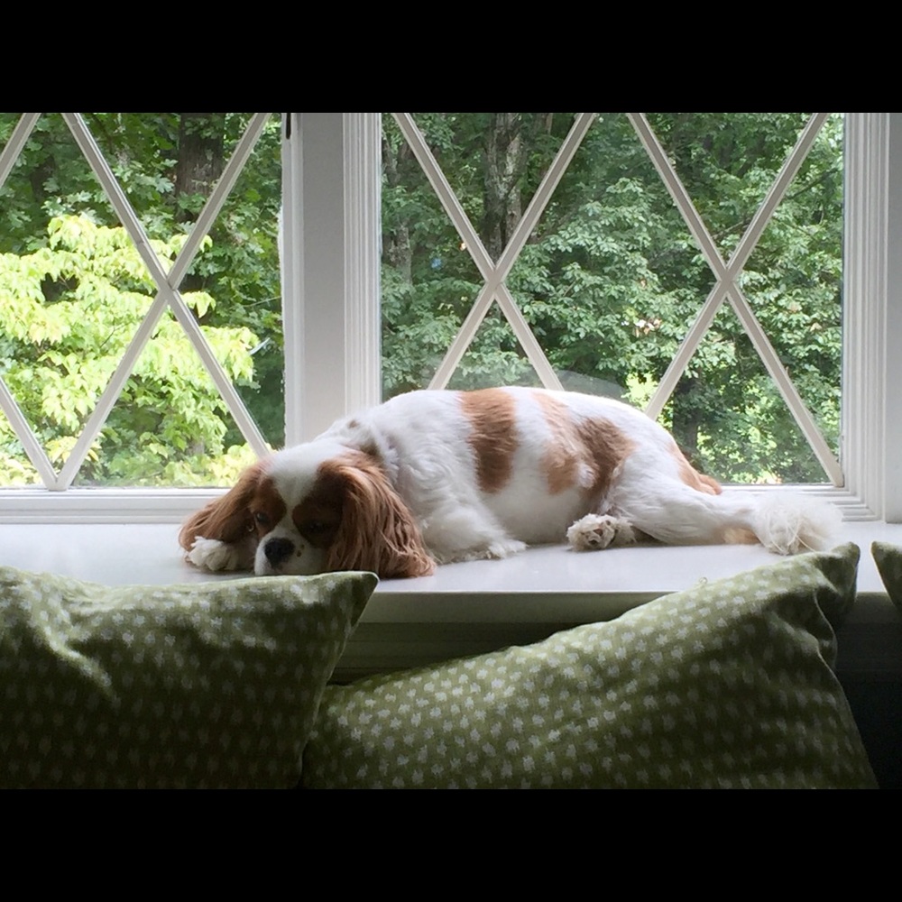 Meet your Posher, Marnie